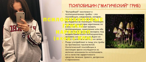 бошки Ессентукская