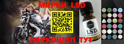 дмт Аргун