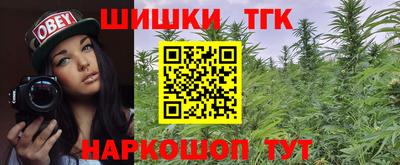 дмт Аргун