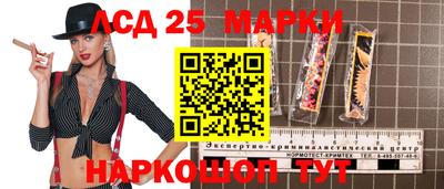 дмт Аргун