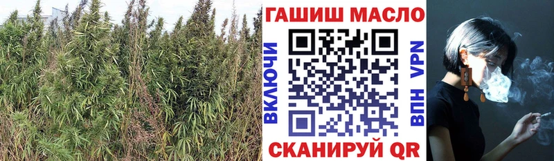 Дистиллят ТГК вейп с тгк  darknet официальный сайт  Ачинск 