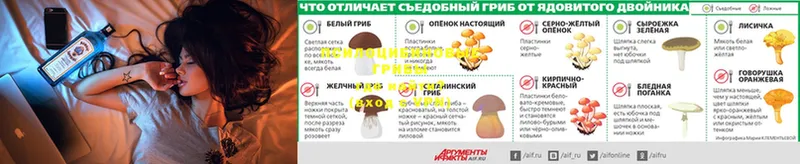 Галлюциногенные грибы мухоморы Ачинск