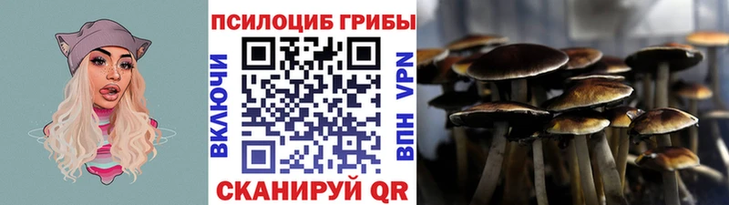 Галлюциногенные грибы ЛСД  цены   OMG tor  Ачинск 