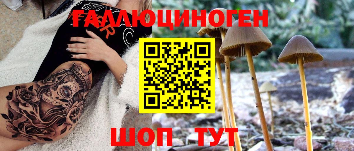Ачинск  Псилоцибиновые грибы ЛСД  Вход с VPN 