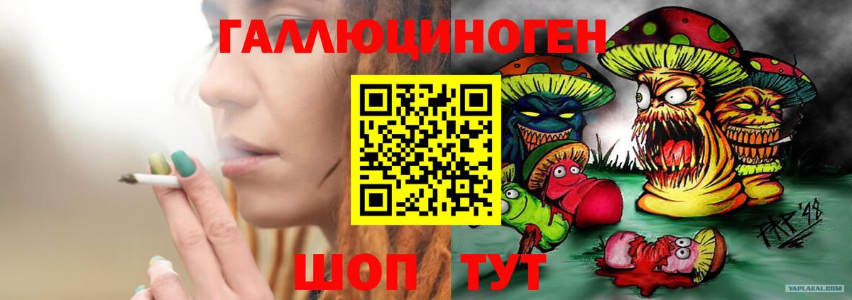 Галлюциногенные грибы GOLDEN TEACHER Ачинск